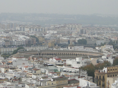 Maestranza's views from Giralda