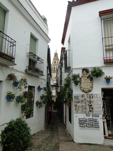 Calleja de las flores