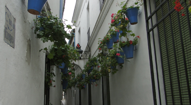 Calleja de las flores