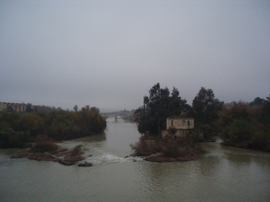 Sotos de la Albolafia