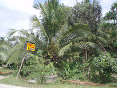 Walking to Sunda Resort