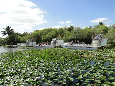 Fila de airboats preparados para el tour