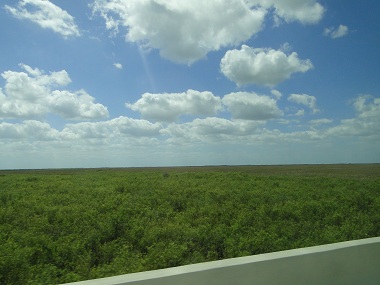 Carretera en Everglades