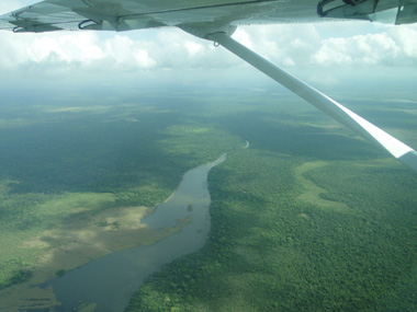 Vistas aereas de la jungla