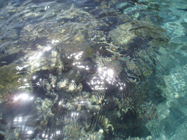 Snorkel en el Mar Rojo