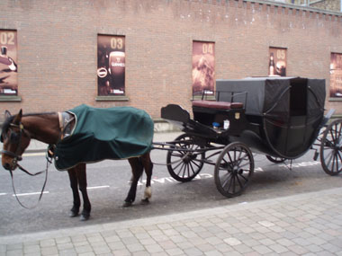 Around Guinness storehouse