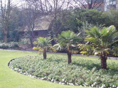 Parque de St. Stephen's Green
