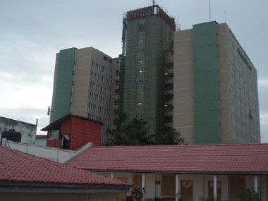 Views from Hotel New Palm tree's courtyard