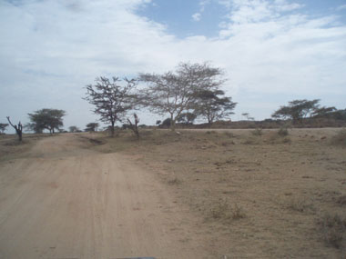 Camino alternativo a la izquierda de la carretera