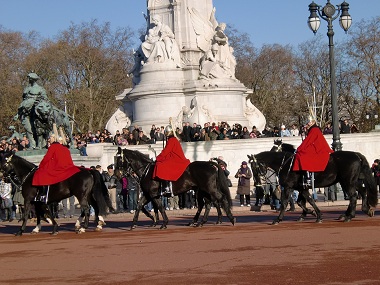 Horse guard in Buckingham