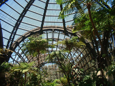 Balboa Park's Botanic Garden