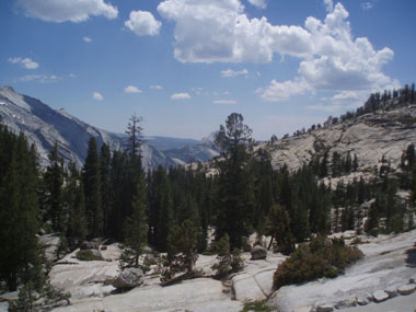 Paisaje en Tioga Road