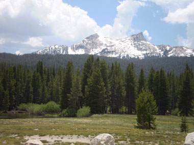 Tuolumne Meadows