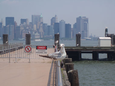 Manhattan from Liberty Island