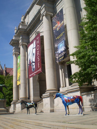 American Museum of Natural History