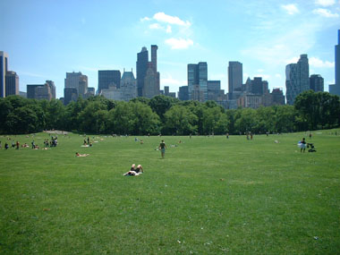 Sheep Meadow